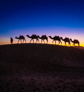 Maroko i magiczna Sahara